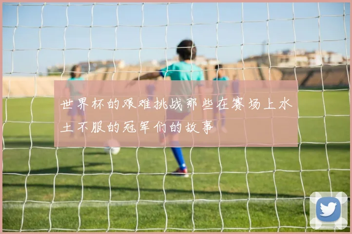 世界杯的艰难挑战那些在赛场上水土不服的冠军们的故事
