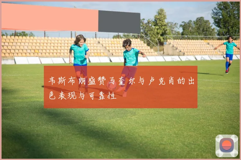 韦斯布朗盛赞马奎尔与卢克肖的出色表现与可靠性